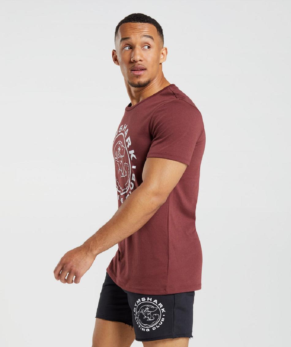 Gymshark Legacy Muške T Shirts Roze Smeđe | HR 2445HAP